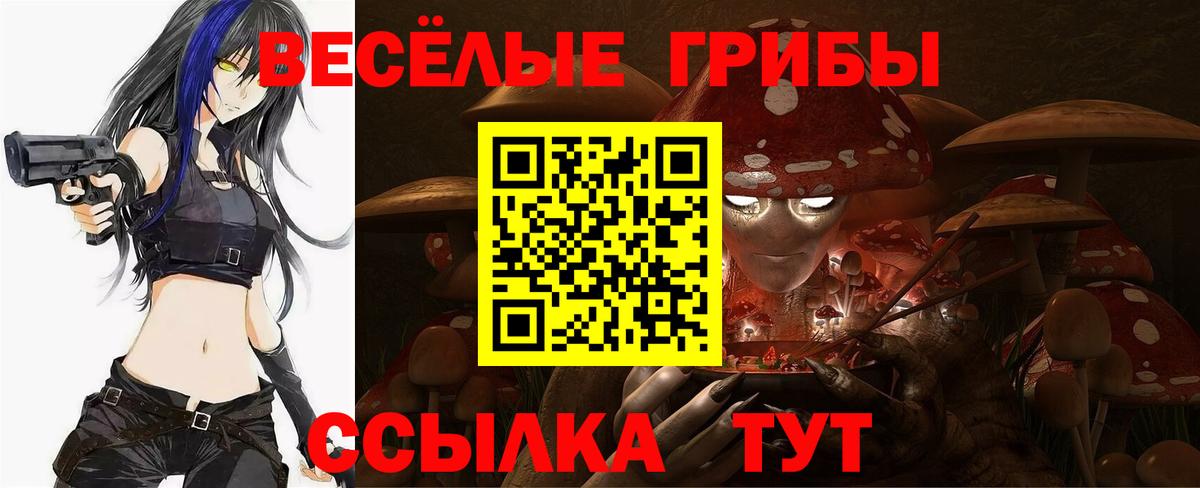 Галлюциногенные грибы Psilocybe  Вход с VPN  Вичуга 